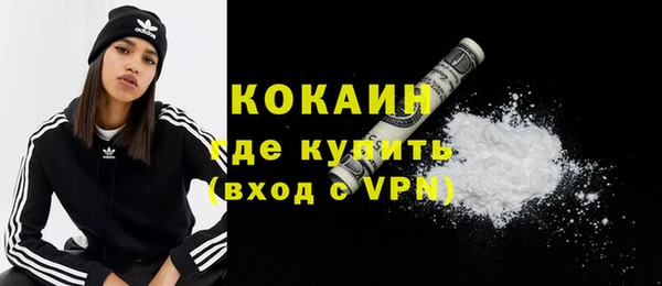 хмурый Ельня