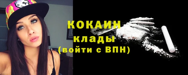 хмурый Ельня