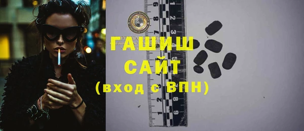 хмурый Ельня