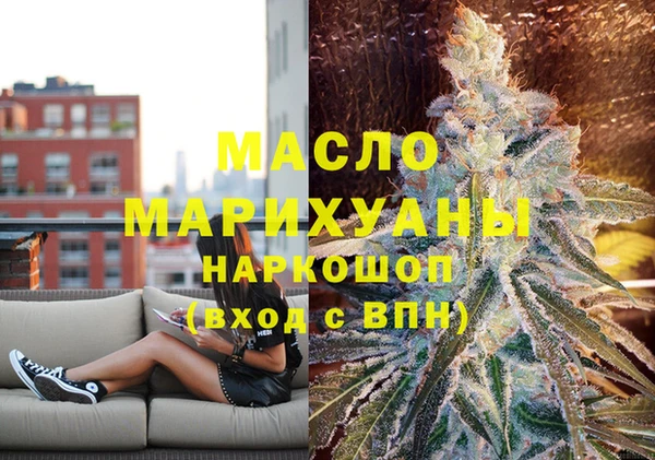 хмурый Ельня