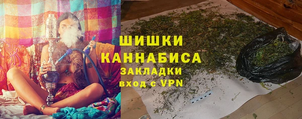 хмурый Ельня