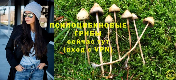 бошки Бутурлиновка
