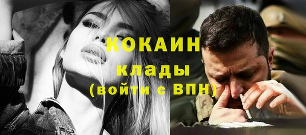PSILOCYBIN Елабуга