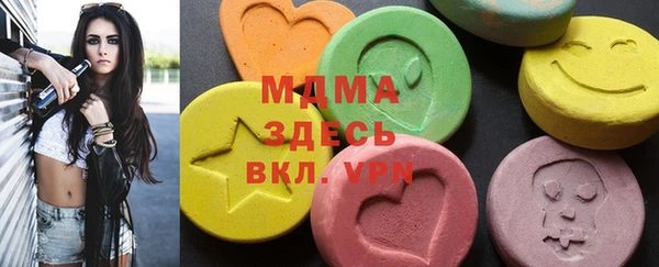 хмурый Ельня