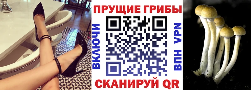 Галлюциногенные грибы прущие грибы  где купить   Емва 